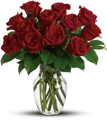 Red Short-stemmed Roses