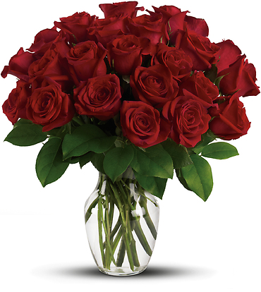 Red Short-stemmed Roses