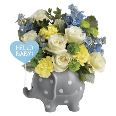 Hello Sweet Baby - Blue