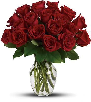 Red Short-stemmed Roses