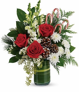 Festive Pines Bouquet